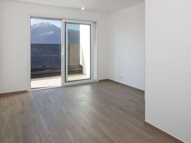 Einfamilienhaus kaufen