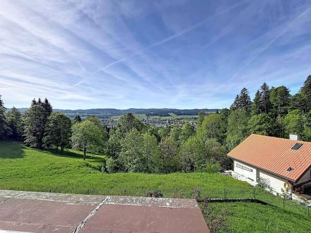 Einfamilienhaus kaufen in La Chaux-de-Fonds