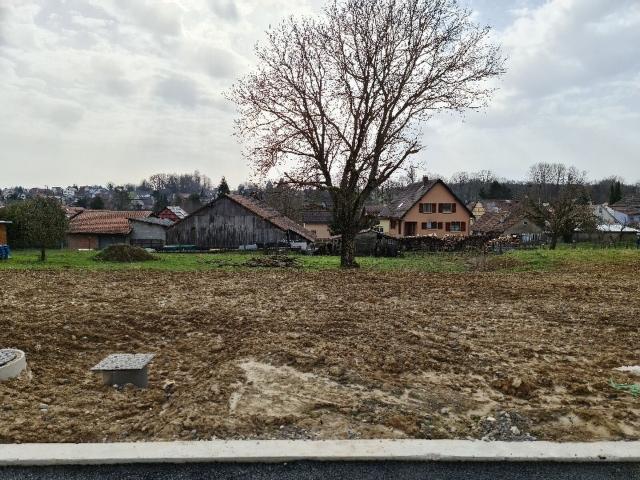 Einfamilienhaus kaufen