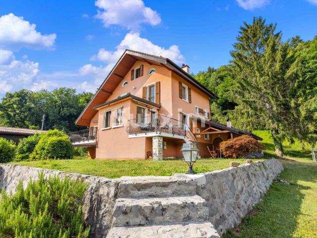 Einfamilienhaus kaufen