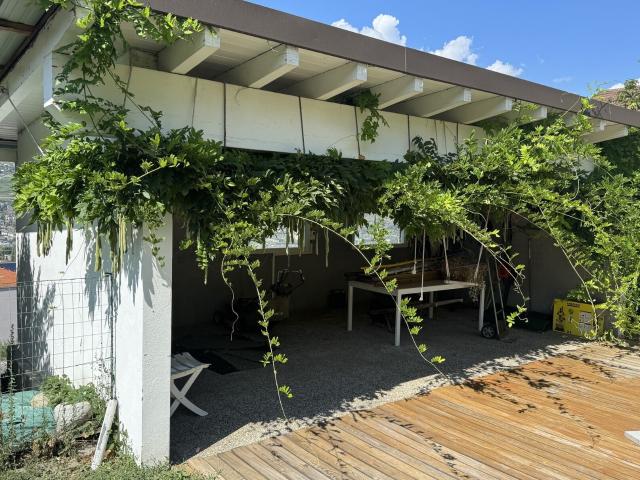 Einfamilienhaus kaufen