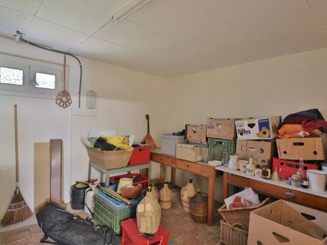 Einfamilienhaus kaufen