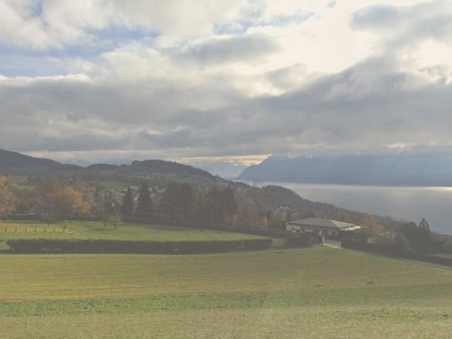 Einfamilienhaus kaufen