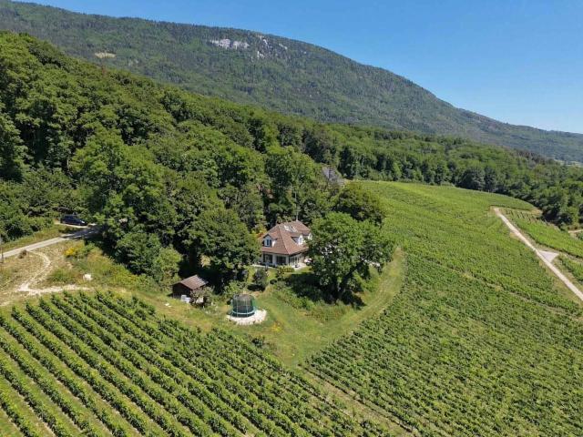 Einfamilienhaus kaufen in Onnens (VD), District du Jura-Nord vaudois