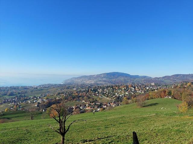 Einfamilienhaus kaufen