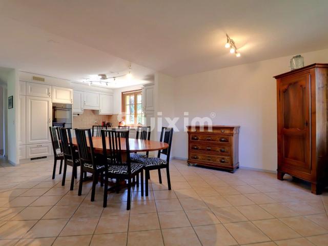 Einfamilienhaus kaufen