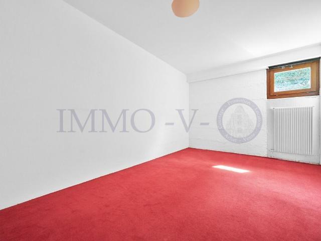 Einfamilienhaus kaufen