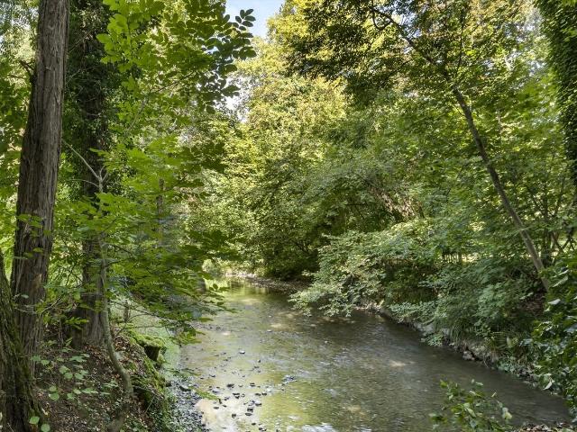 Einfamilienhaus kaufen in Onex