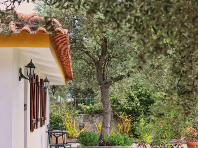 Casa alugar em Azeitão (São Lourenço e São Simão), Setúbal