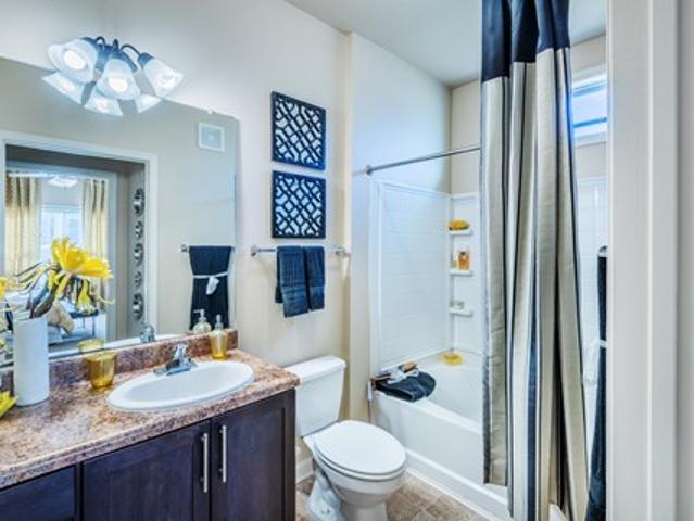 Apartment for rent in Apex