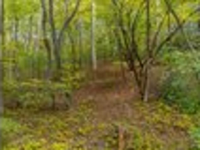 Land for sale in Franklin, North Carolina