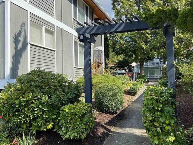 Apartment for rent in Bellevue, Washington