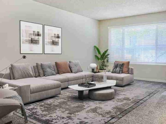 Apartment for rent in Bellevue