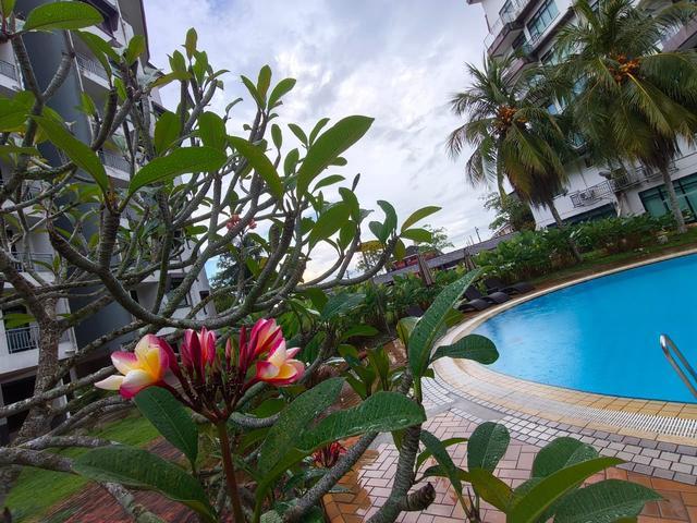 Condominium for rent in Kuching, Bahagian Kuching
