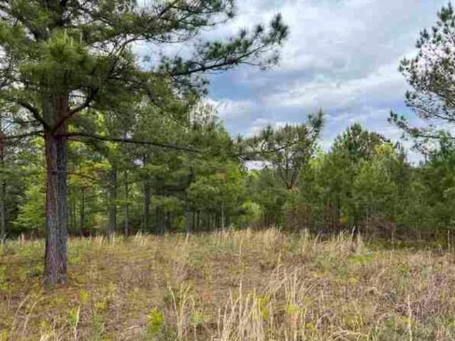 Land for sale in Blairsville, Georgia
