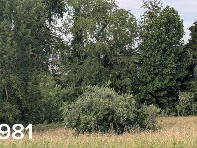 Land for sale in Virginia