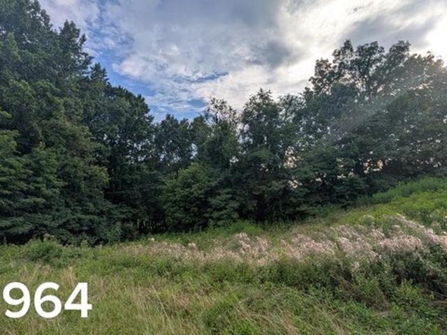 Land for sale in Virginia