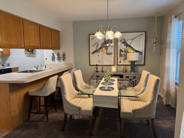 Apartment for rent in Maple Shade, New Jersey