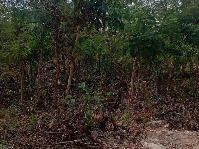 Terreno venda em Região Geográfica Imediata de Cuiabá, Região Metropolitana do Vale do Rio Cuiabá