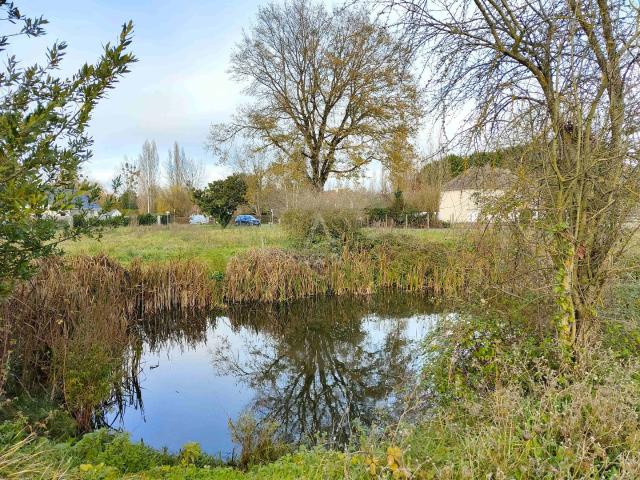 Terrain vente à Villaines-sous-Malicorne, Sarthe