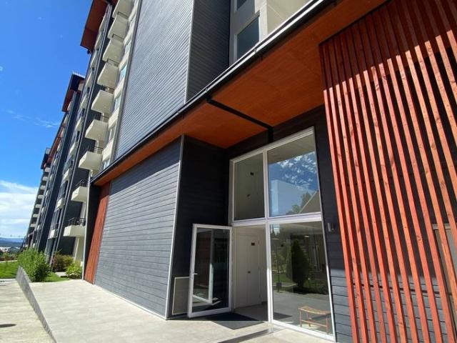 Villarrica, Avenida Estacion