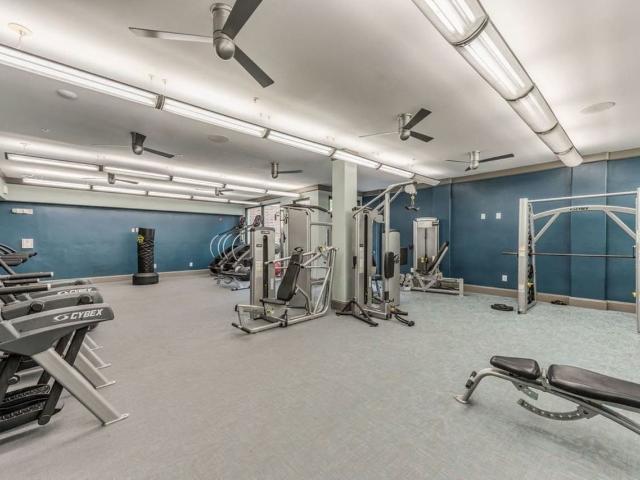 Apartment for rent in Harris, Texas