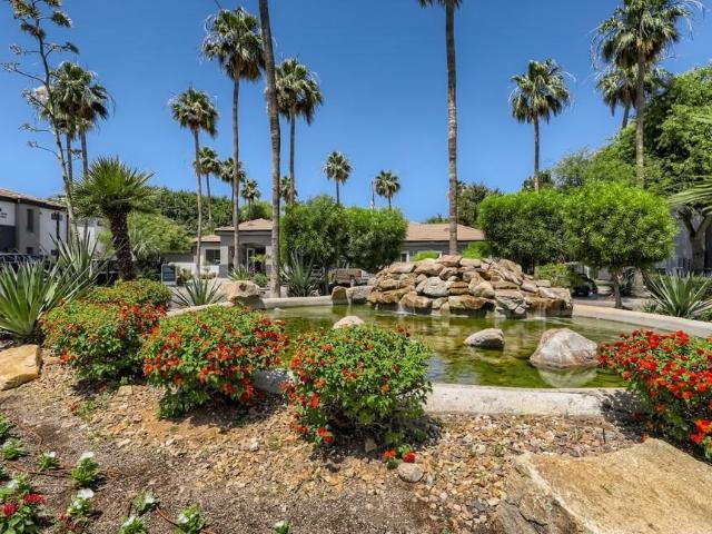 Apartment for rent in Surprise, Arizona