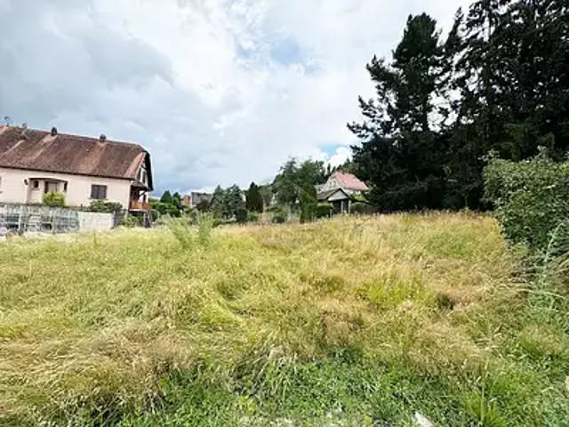 Terrain vente à Sélestat-Erstein, Ville