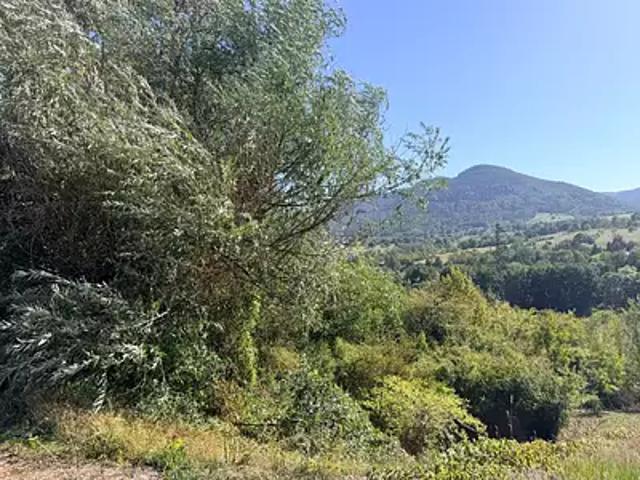 Terrain vente à Villé, Collectivité européenne d'Alsace