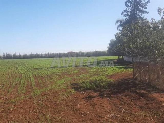 Propriété vente à Gharb-Chrarda-Beni Hssen