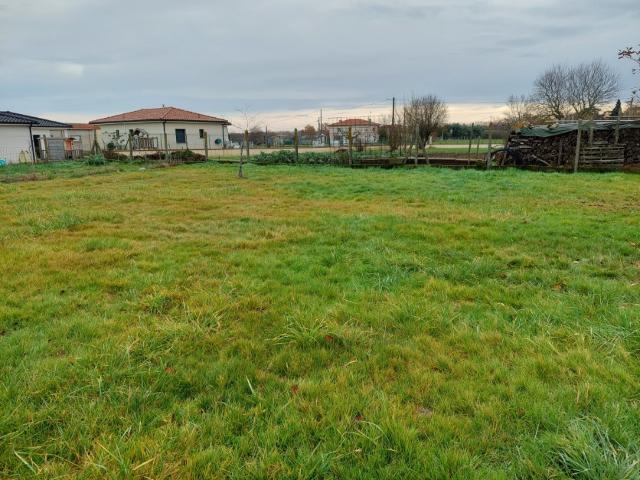 Terrain vente à Montauban, Villebrumier