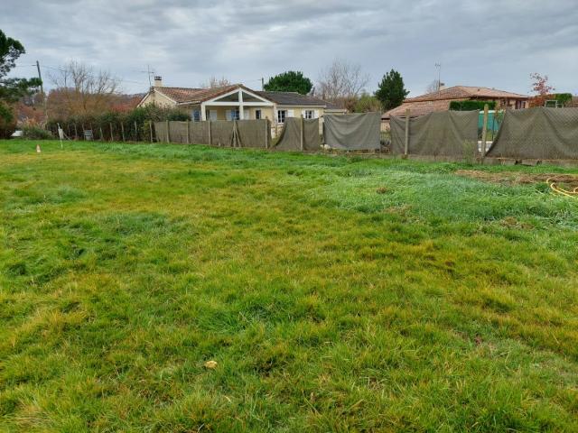 Terrain vente à Montauban, Villebrumier