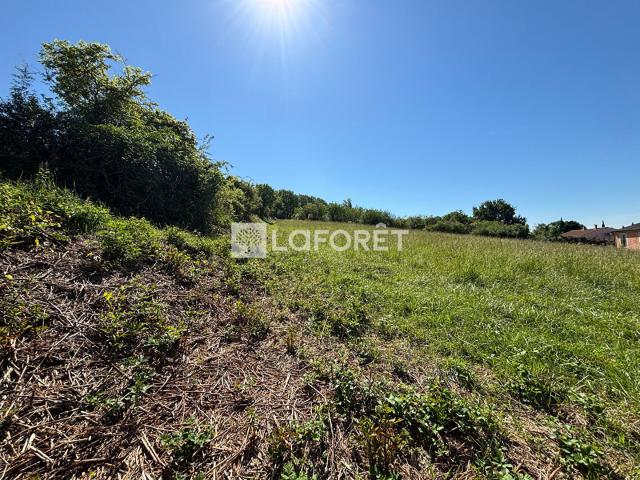Terrain vente à Montauban, Villebrumier