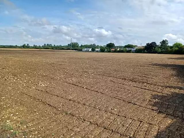 Terrain vente à La Rochelle, Villedoux