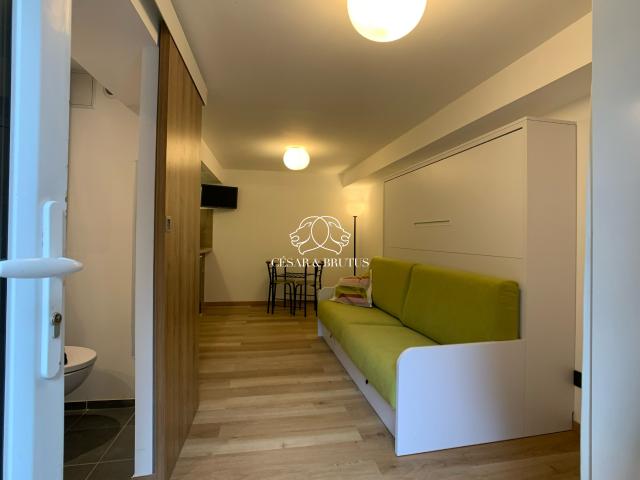 Appartement location à Villefranche-sur-Saône, Rhône