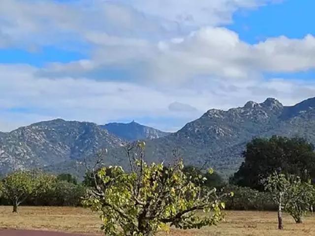 Terrain vente à Céret, Villelongue-dels-monts