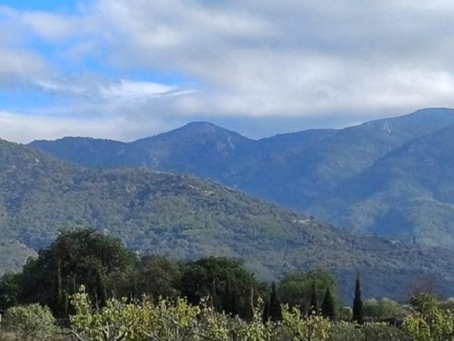 Terrain vente à Céret, Villelongue-dels-monts