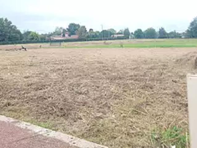 Terrain vente à Montauban, Villemade
