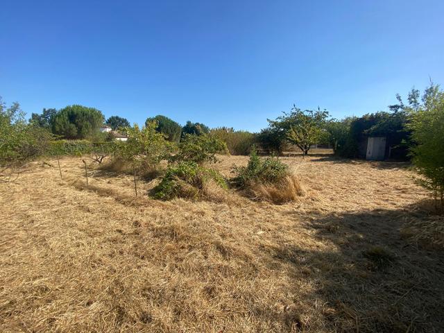 Terrain vente à Montauban, Villemade