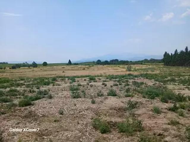 Terrain vente à Céret, Villemolaque