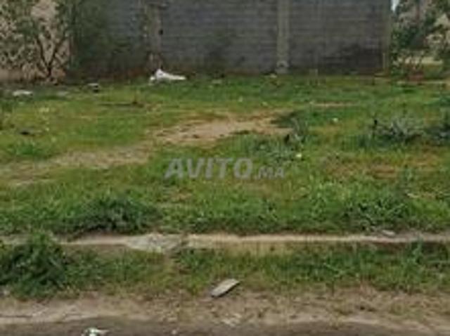Propriété vente à Sidi Allal El Bahraoui