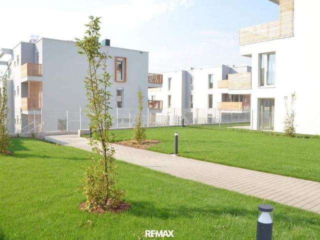 Wohnung mieten in Krems an der Donau