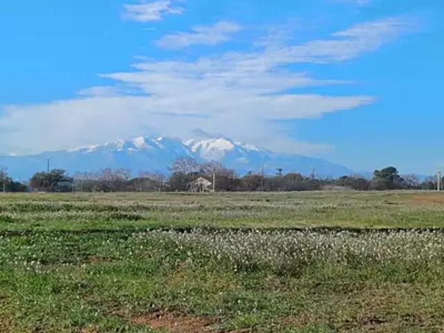 Terrain vente à Perpignan, Villeneuve-de-la-raho