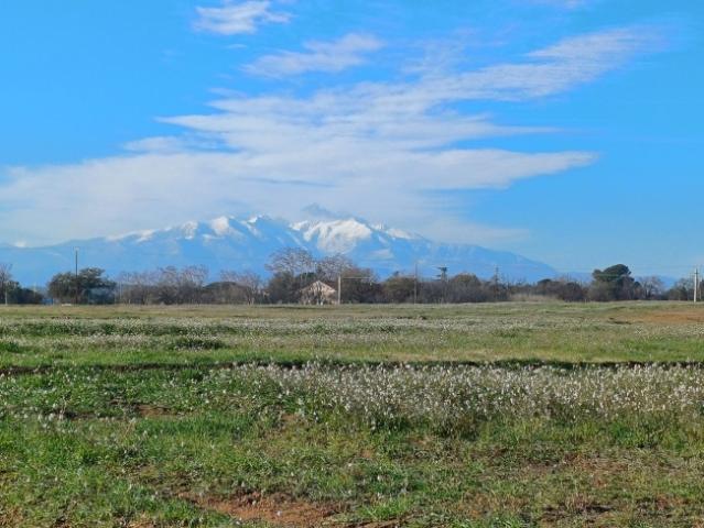 Terrain vente à Perpignan, Villeneuve-de-la-raho