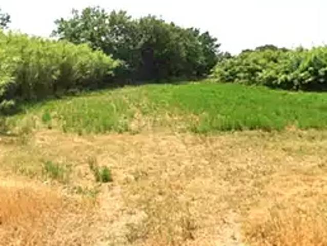 Terrain vente à Perpignan, Villeneuve-la-rivière