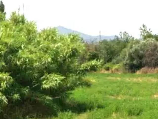 Terrain vente à Perpignan, Villeneuve-la-rivière