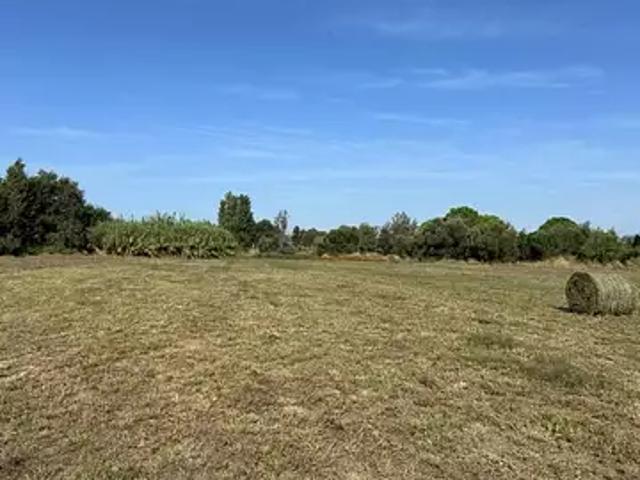 Terrain vente à Perpignan, Villeneuve-la-rivière