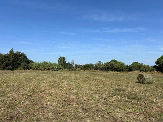 Terrain vente à Perpignan, Villeneuve-la-rivière