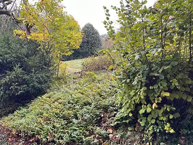 Terrain vente à Saint-Germain-en-Laye, Villennes-sur-seine