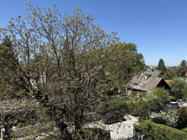 Wohnung kaufen in Salzburg